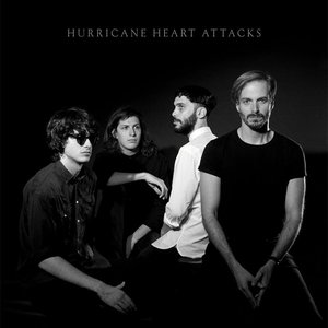 Bild für 'Hurricane Heart Attacks (vinyl rip)'