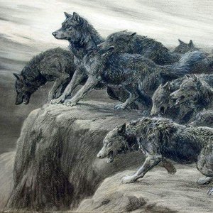 Image for 'Realm of Wolves'