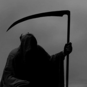 Immagine per 'killer mantis'
