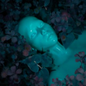 Image pour 'Haunted'