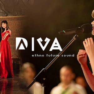 Bild für 'DIVA Ethno Future Sound'