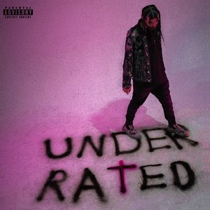 Image for 'UNDERRATED'