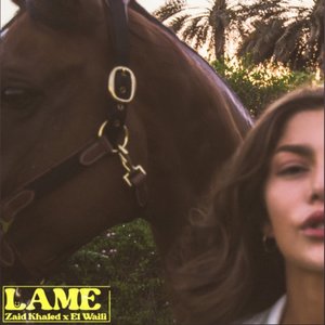 Image for 'Lame'