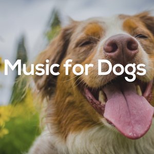 “Music for Pets Library”的封面