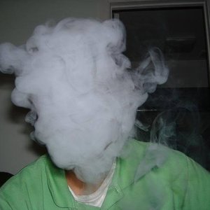 Image for 'TheGreenDutch'
