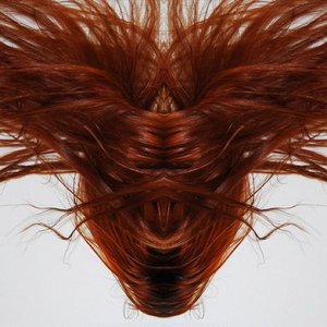 Image pour 'A Collection Of Hair'