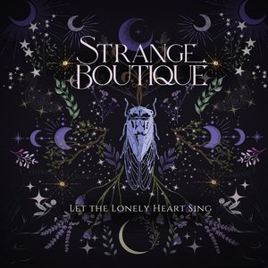 'Let The Lonely Heart Sing'の画像