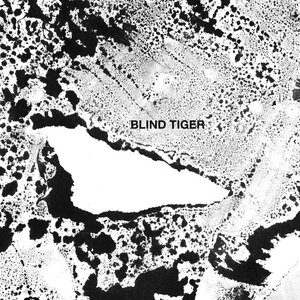 Image for 'Blind Tiger'
