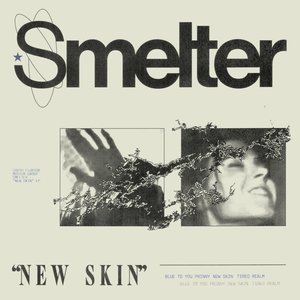 Image for 'New Skin - EP'