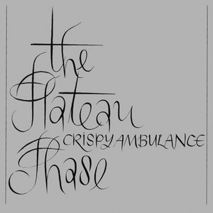 “The Plateau Phase”的封面