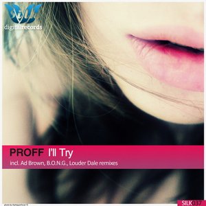 Image for 'I'll Try'