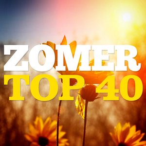 Изображение для 'Zomer Top 40'