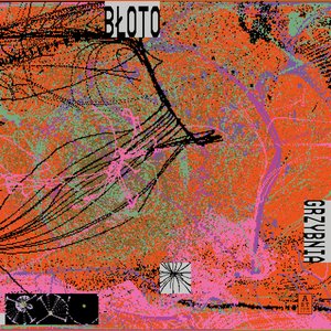 Image for 'Grzybnia'