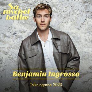 Immagine per 'Så Mycket Bättre 2020 - Tolkningarna'