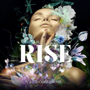 Image for 'rise'