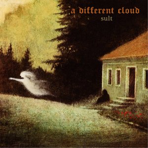Image for 'A Different Cloud'