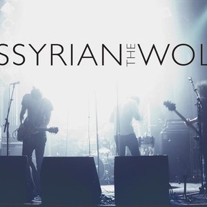 Image for 'Assyrian The Wolf'