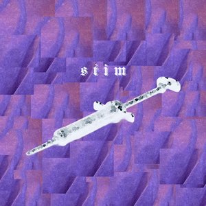 “St1m”的封面
