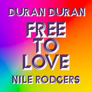 Image for 'Free to Love (Horse Meat Disco Remix) / Free to Love (DJWS & THE DISCO_NECT Remix)'