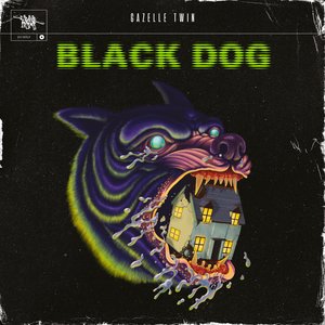 “Black Dog”的封面