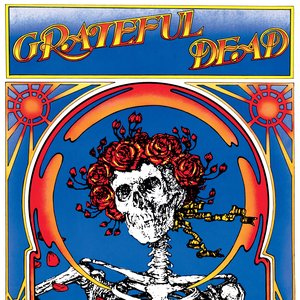 Image for 'Grateful Dead (Skull & Roses)'
