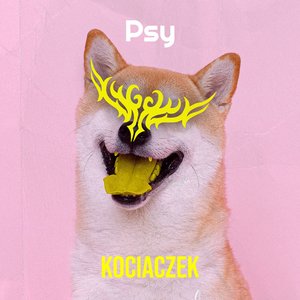 “Psy”的封面