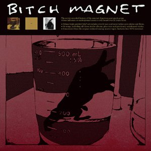 Image for 'Bitch Magnet'