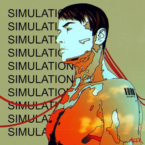 Image for 'Simulations'
