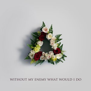 Image for 'Without My Enemy What Would I Do'