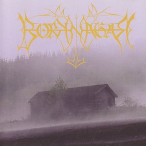 Image for 'Borknagar'