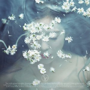 “Like A Flower - The 1st Mini Album”的封面
