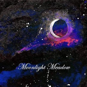 'Moonlight Meadow'の画像