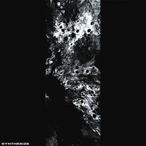 Image for 'Synthesize'
