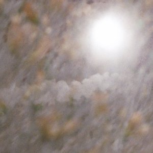 Zdjęcia dla 'quiet circle'