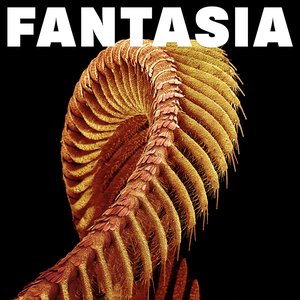 'Fantasia'の画像