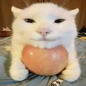 realusibobo