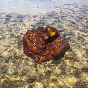 Zdjęcia dla 'Pedra'