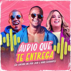 “Áudio Que Te Entrega”的封面