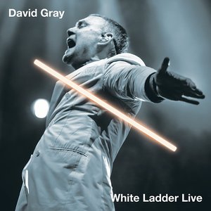 Image for 'White Ladder Live'