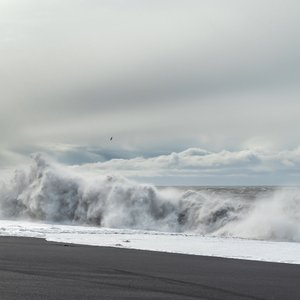 'The Black Sand' için resim