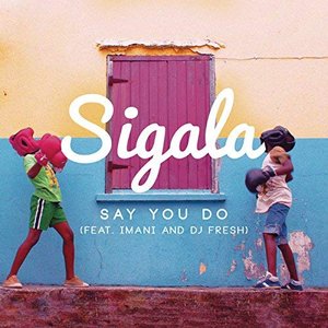 Immagine per 'Say You Do (feat. Imani Williams & DJ Fresh)'