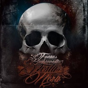 Image for 'Testa Nera'