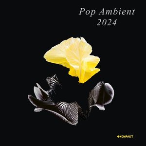 Image for 'Pop Ambient 2024'