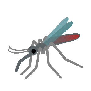 PewLycosidae