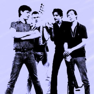 Image for 'The Fleshtones'