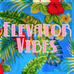 Image for 'Elevator Vibes'