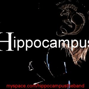 Image for 'Hippocampus'