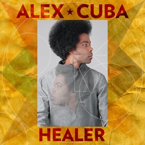 “Healer”的封面
