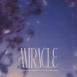 Image pour 'Miracle - RÜFÜS DU SOL Remix'