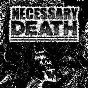 Image for 'Necessary Death'